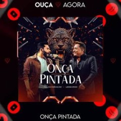Allan Coração, Leonardo